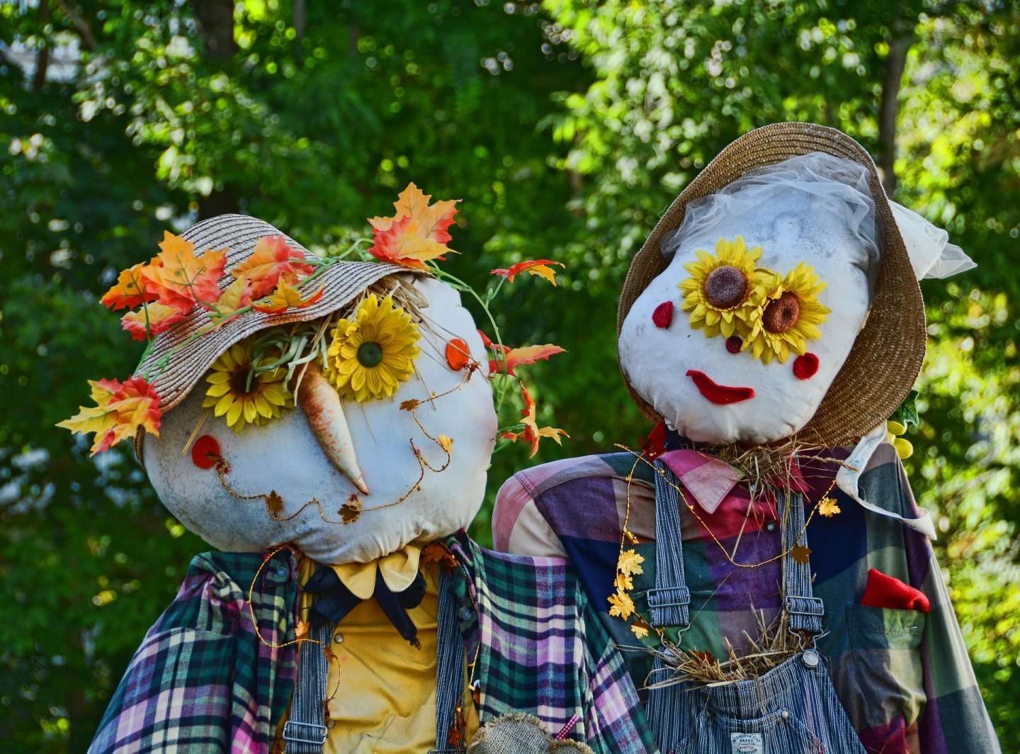 Scarecrow Contest & Family Fun