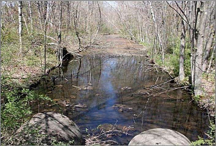 City Awarded 2nd Grant to Continue Cleanup of Goodall Brook