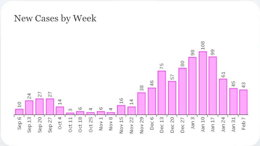 Latest Covid Data: February 11