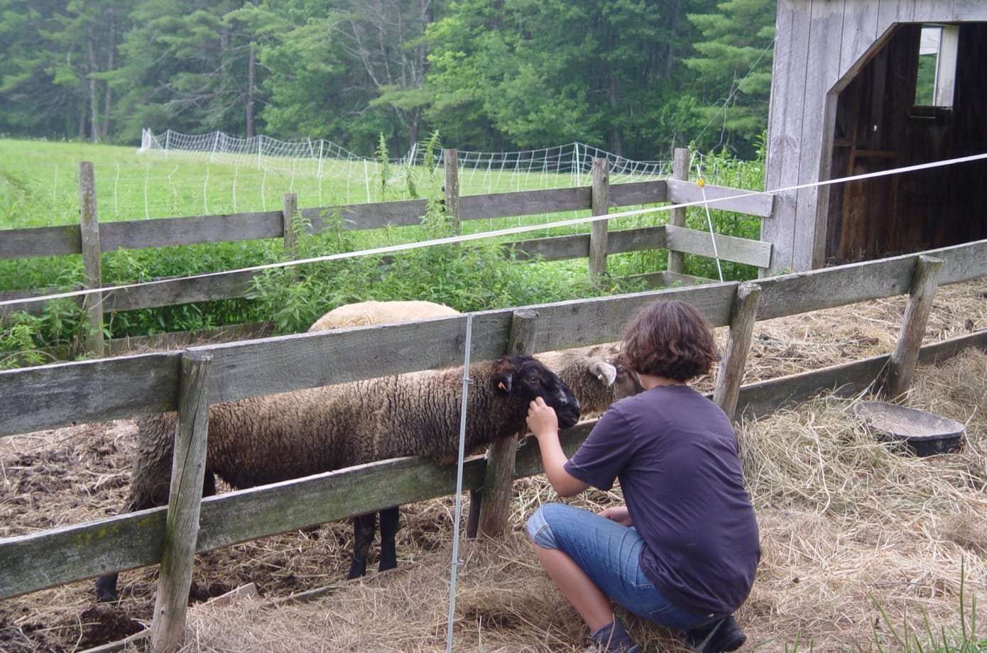 Open Farm Day / Springvale Farm Walk July 24