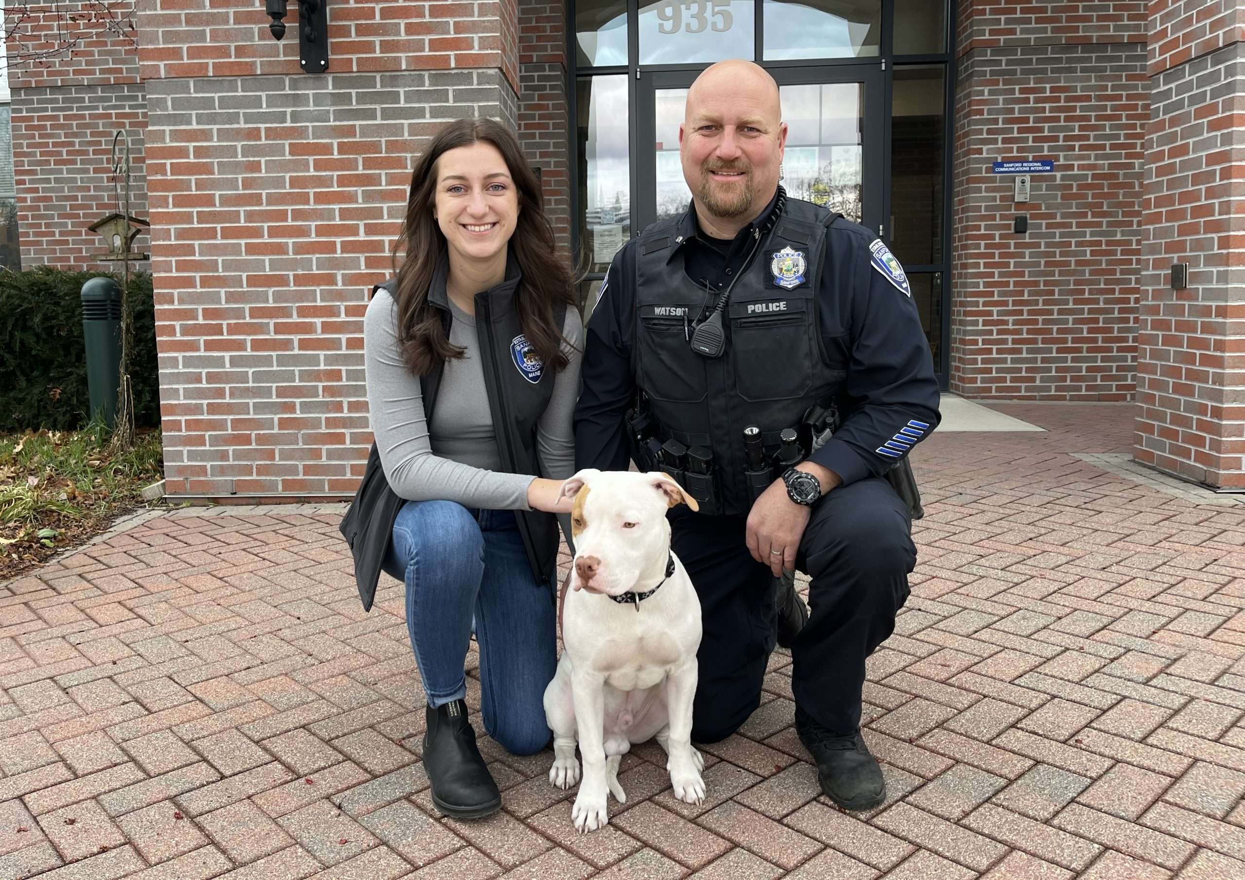 Meet Winston, the SPD’s Future Comfort Canine