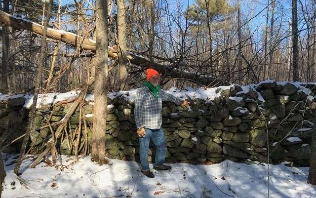 Out In The Woods – Stone Walls Tell Stories