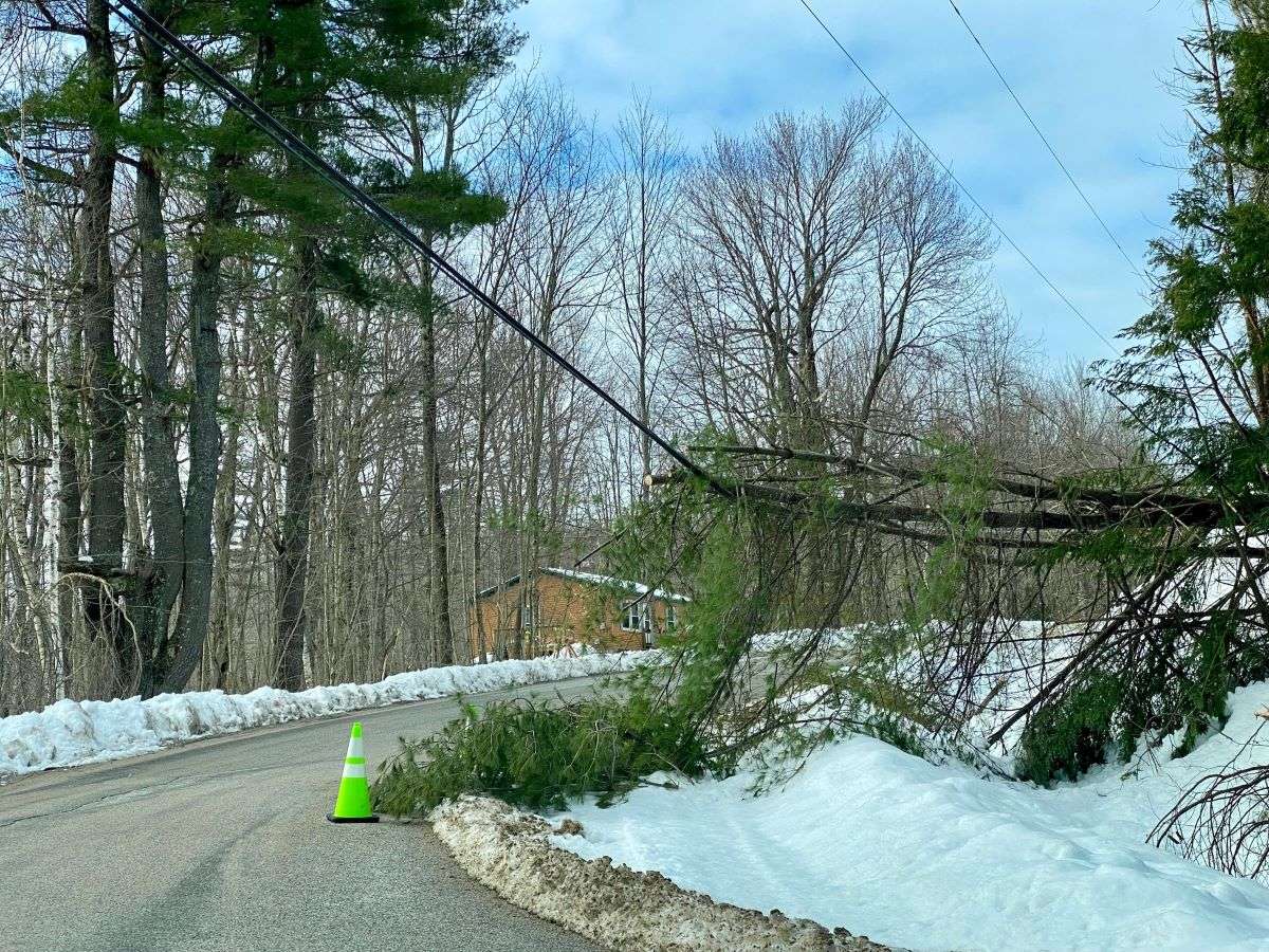 York County Has $2 Million in Damage from Spring Snowstorm