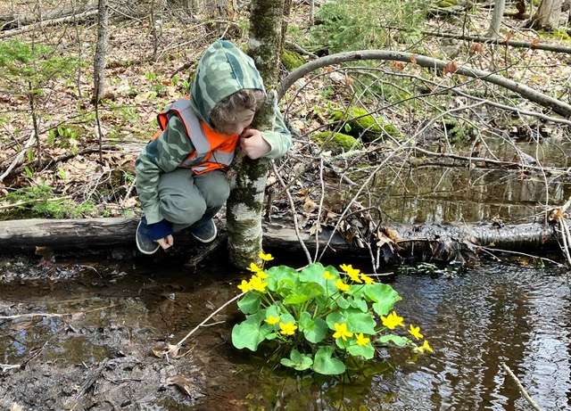 Native Plants to be Featured at Land Trust Annual Meeting