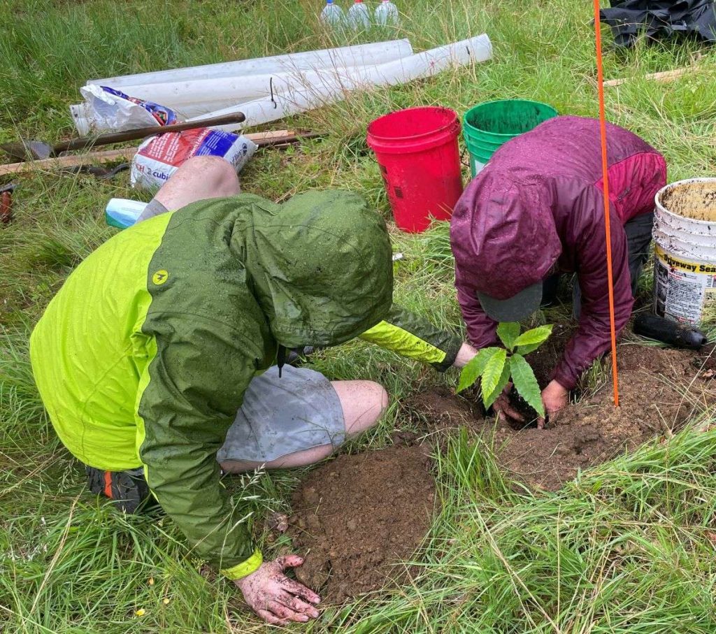 Sam Parady (MWLT) and Lea Sewell (TACF) plant seedlings.