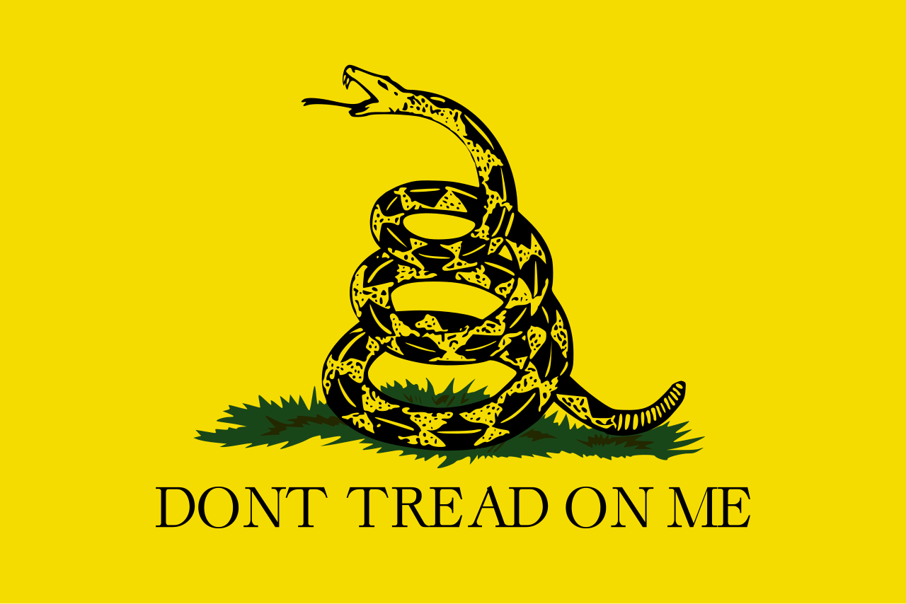 City Council Discusses Flying Gadsden Flag on Fourth of July